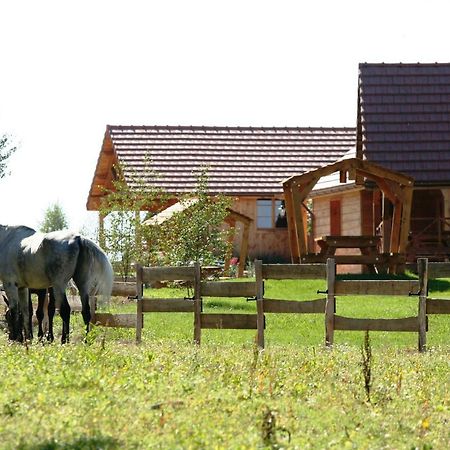 Vila Le Hameau Des Grilles Saint-Fargeau  Exteriér fotografie