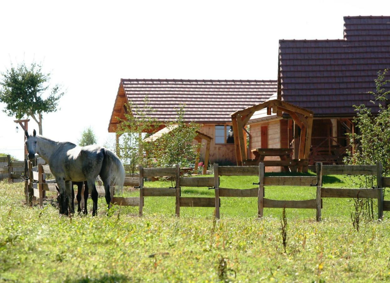 Vila Le Hameau Des Grilles Saint-Fargeau  Exteriér fotografie